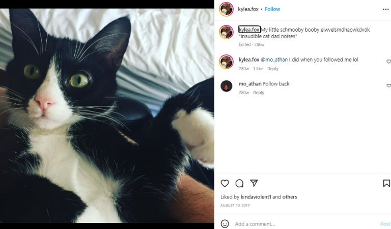 A picture of Kyle's Instagram showing his pet cat Selena. 